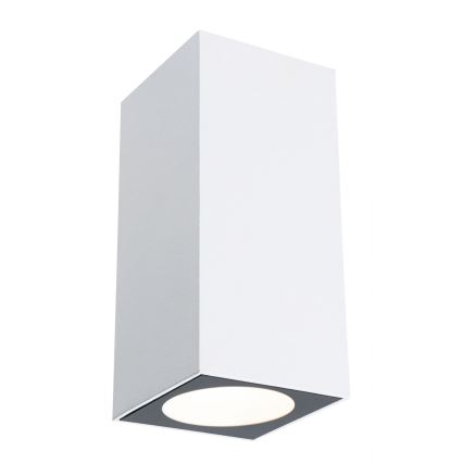 Paulmann 94330 - 2xLED/2,8W IP44 Outdoor wall light FLAME 230V white