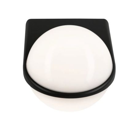 Paulmann 94401 - LED/10W IP44 Outdoor wall light SPHERE 230V