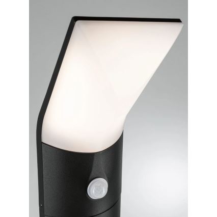 Paulmann 94403 - LED/10W IP44 Outdoor lamp with sensor ADYA 230V