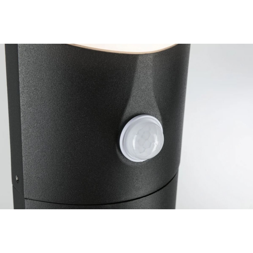 Paulmann 94403 - LED/10W IP44 Outdoor lamp with sensor ADYA 230V