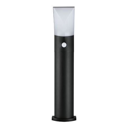 Paulmann 94403 - LED/10W IP44 Outdoor lamp with sensor ADYA 230V
