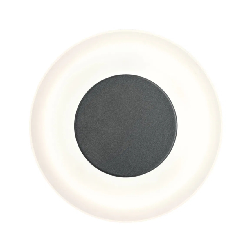Paulmann 94409 - LED/4W IP44 Outdoor wall light CIRCEA 230V