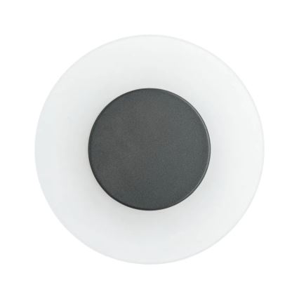 Paulmann 94409 - LED/4W IP44 Outdoor wall light CIRCEA 230V