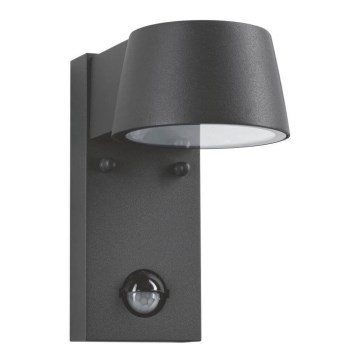 Paulmann 94453 - LED/6W IP44 Outdoor wall light with sensor CAPEA 230V