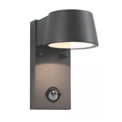 Paulmann 94453 - LED/6W IP44 Outdoor wall light with sensor CAPEA 230V
