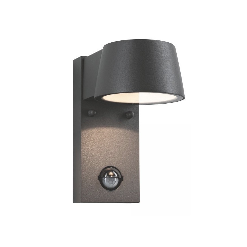 Paulmann 94453 - LED/6W IP44 Outdoor wall light with sensor CAPEA 230V