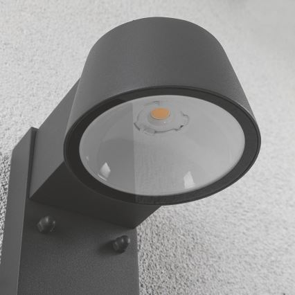 Paulmann 94453 - LED/6W IP44 Outdoor wall light with sensor CAPEA 230V