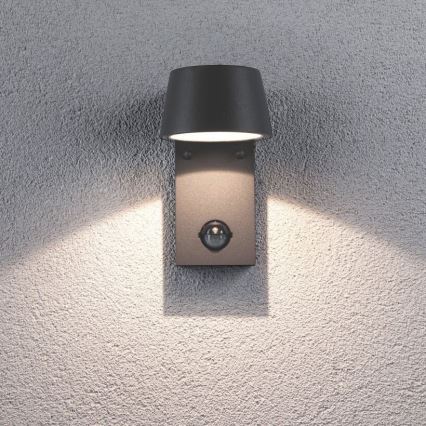 Paulmann 94453 - LED/6W IP44 Outdoor wall light with sensor CAPEA 230V