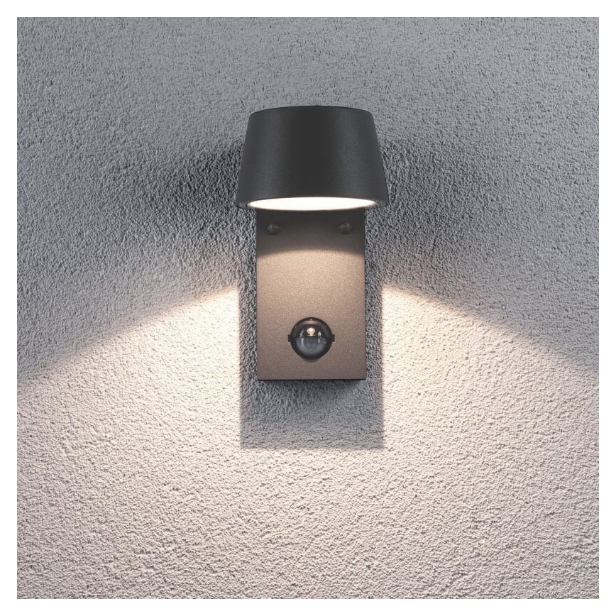 Paulmann 94453 - LED/6W IP44 Outdoor wall light with sensor CAPEA 230V