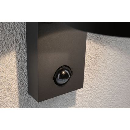 Paulmann 94453 - LED/6W IP44 Outdoor wall light with sensor CAPEA 230V