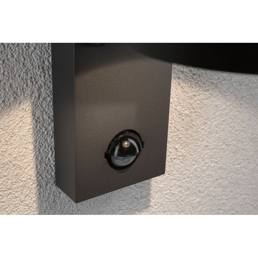 Paulmann 94453 - LED/6W IP44 Outdoor wall light with sensor CAPEA 230V