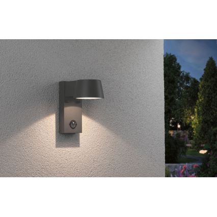 Paulmann 94453 - LED/6W IP44 Outdoor wall light with sensor CAPEA 230V