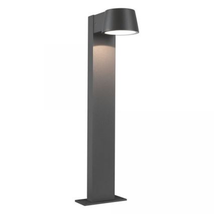 Paulmann 94454 - LED/6W IP44 Outdoor lamp CAPEA 230V