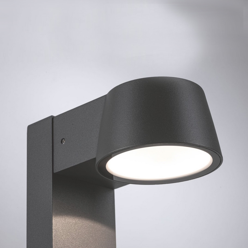 Paulmann 94454 - LED/6W IP44 Outdoor lamp CAPEA 230V