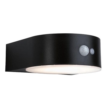 Paulmann 94570 - LED/5,5W IP44 Solar wall light with sensor EILEEN 3,7V