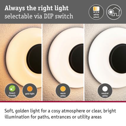 Paulmann 94955 - LED/20.5W IP65 Dimmable outdoor wall light AUREVA 230V 2200/3000/4000K anthracite