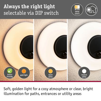 Paulmann 94956 - LED/20,5W IP65 Dimmable outdoor wall light with motion and dusk sensor AUREVA 230V 2200/3000/4000K anthracite
