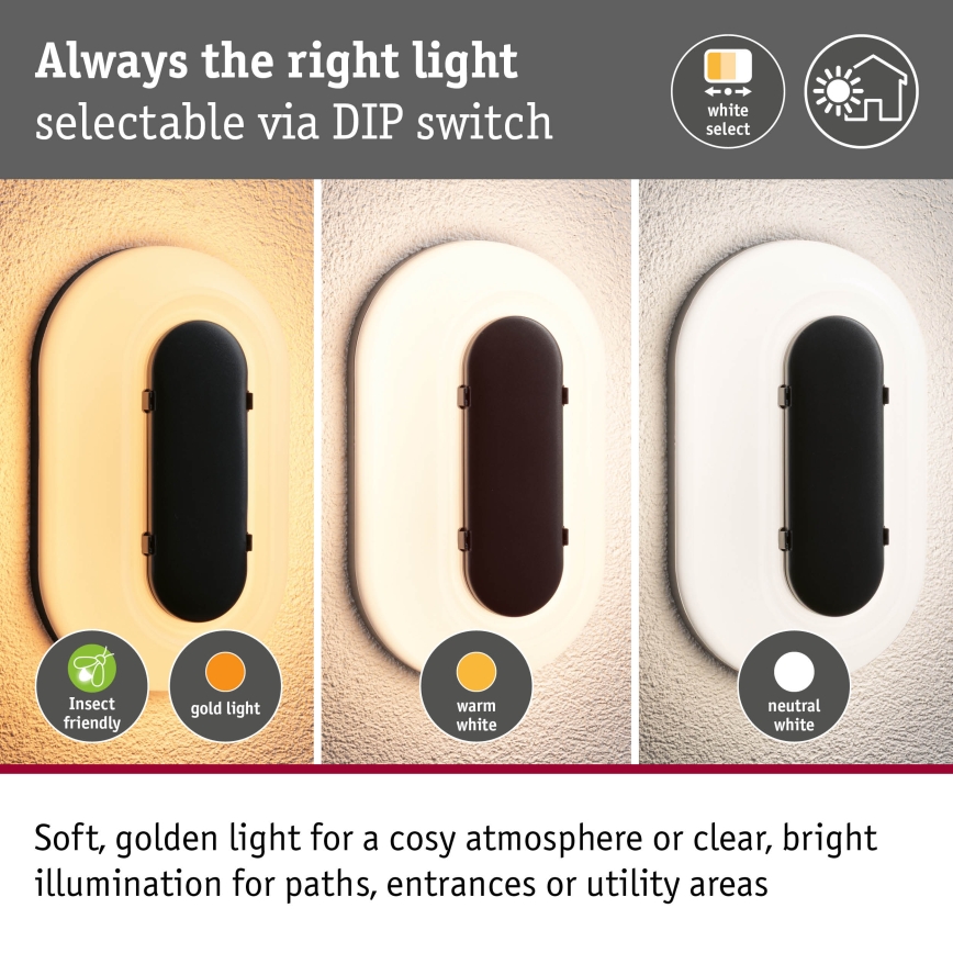 Paulmann 94957 - LED/18,5W IP65 Dimmable outdoor wall light ELUNOR 230V 2200/3000/4000K anthracite