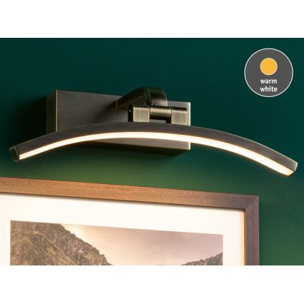 Paulmann 95559 - BENTO LED Picture Light, 6W, 230V, 30 cm, Brass