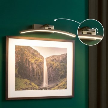 Paulmann 95560 - LED/8,5W BENTO Picture Light 230V 40 cm Brass