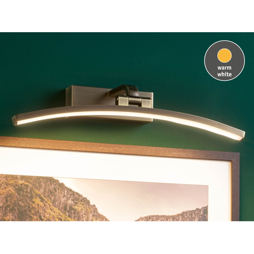 Paulmann 95560 - LED/8,5W BENTO Picture Light 230V 40 cm Brass