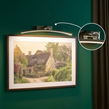 Paulmann 95561 - LED/10W BENTO Picture Light 230V 50 cm Brass