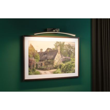 Paulmann 95561 - LED/10W BENTO Picture Light 230V 50 cm Brass