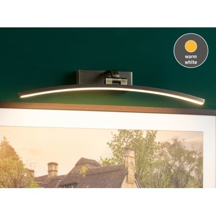 Paulmann 95561 - LED/10W BENTO Picture Light 230V 50 cm Brass