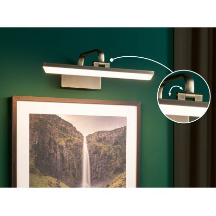 Paulmann 95569 - RENAN LED Picture Light, 9.5W, 230V, 40 cm, Brass