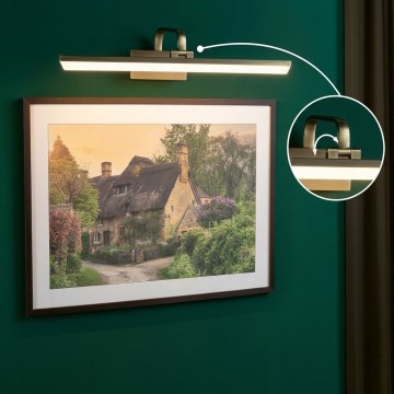 Paulmann 95570 - RENAN LED Picture Light 11W, 230V, 60 cm, Brass