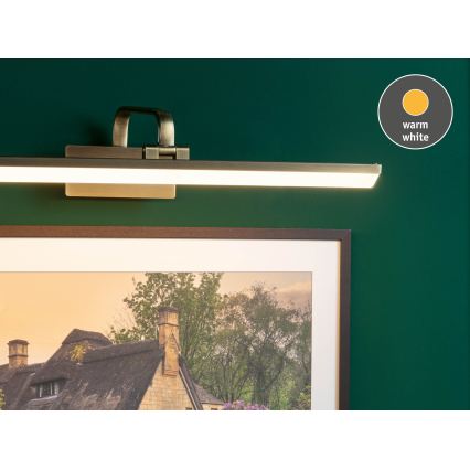 Paulmann 95570 - RENAN LED Picture Light 11W, 230V, 60 cm, Brass