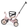 PETITE&MARS - 5-in-1 TURBO LIMITED Kids' Tricycle Rosy Wilderness
