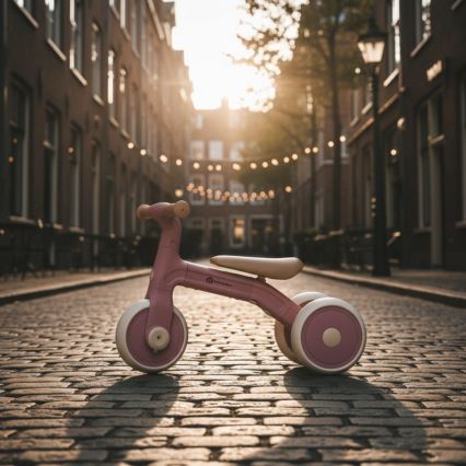 PETITE&MARS - Kids' 3-in-1 Tricycle BINGO Dusty Rose