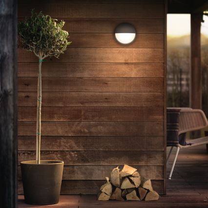 Philips - LED outdoor wall light LED/6W IP44