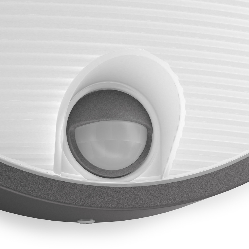 Philips - LED outdoor light with a sensor LED/6W IP44