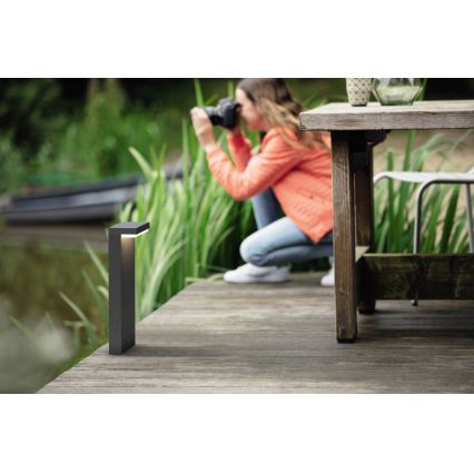 Philips - LED Outdoor lamp 2xLED/4,5W/230V 2700K IP44