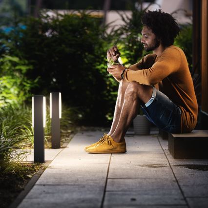 Philips - Outdoor column light 2xLED/4,5W IP44
