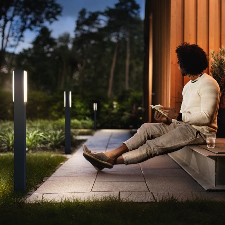 Philips - LED Outdoor lamp 2xLED/4,5W/230V IP44