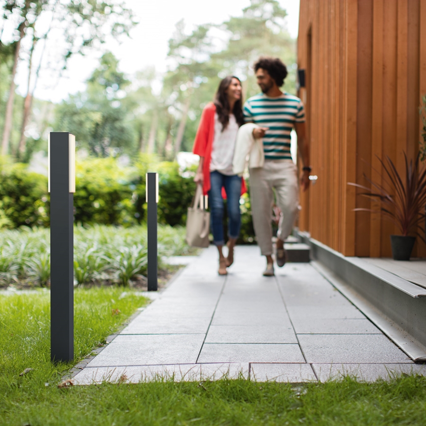 Philips - LED Outdoor lamp 2xLED/4,5W/230V IP44