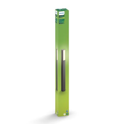Philips - LED Outdoor lamp 2xLED/4,5W/230V IP44