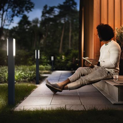 Philips - Outdoor column light 2xLED/4,5W IP44