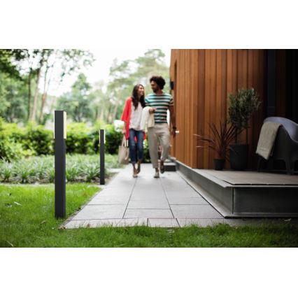 Philips - Outdoor column light 2xLED/4,5W IP44