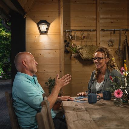 Philips - Outdoor wall light E27/42W