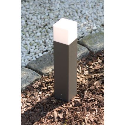 Philips 16935/93/16 - Outdoor lamp ECOMOODS BRANCHE 1xE27/20W/230V