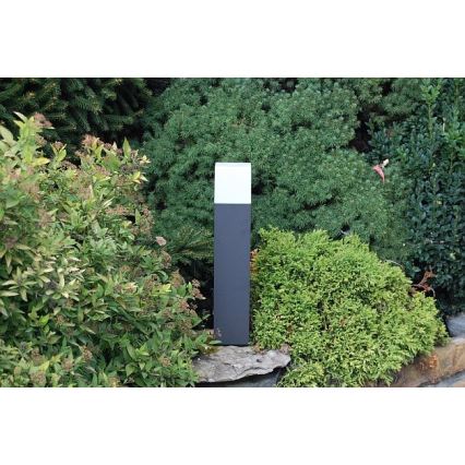 Philips 16935/93/16 - Outdoor lamp ECOMOODS BRANCHE 1xE27/20W/230V