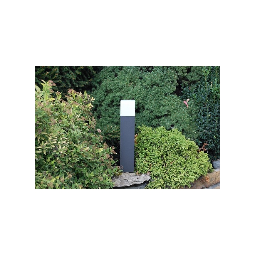 Philips 16935/93/16 - Outdoor lamp ECOMOODS BRANCHE 1xE27/20W/230V