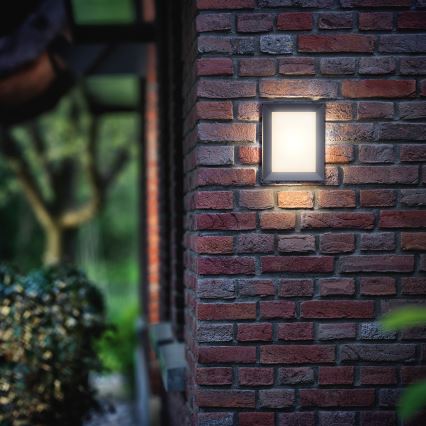 Philips - Outdoor wall light 1xLED/6W/230V IP44