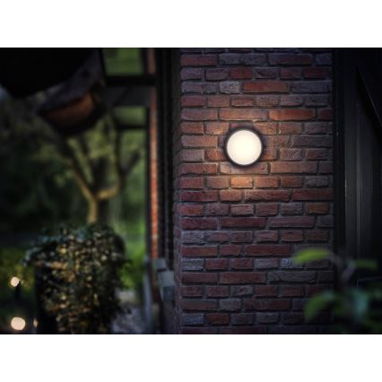 Philips - LED Outdoor light 1xLED/3,5W IP44