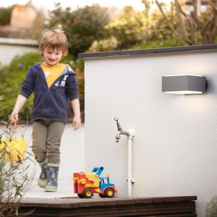 Philips - Outdoor wall light E27/42W/230V IP44