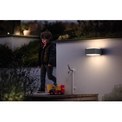 Philips - Outdoor wall light E27/42W/230V IP44